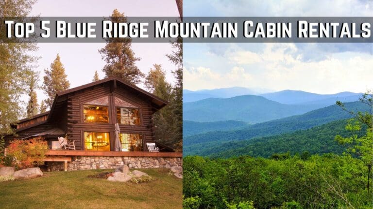 5 Best Places For Blue Ridge Mountains Cabin Rentals