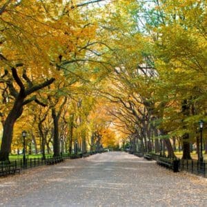 11 Places to See The Best Fall Foliage in New York