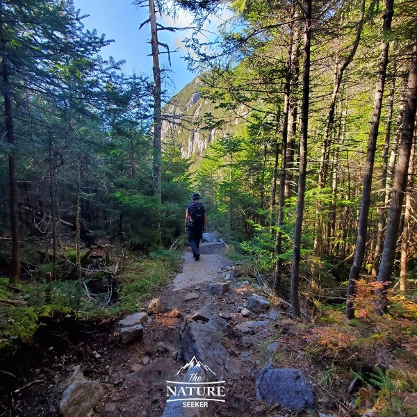 entering avalanche lake 02