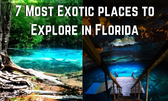 7 Exotic Places in Florida to Visit That Are Unreal