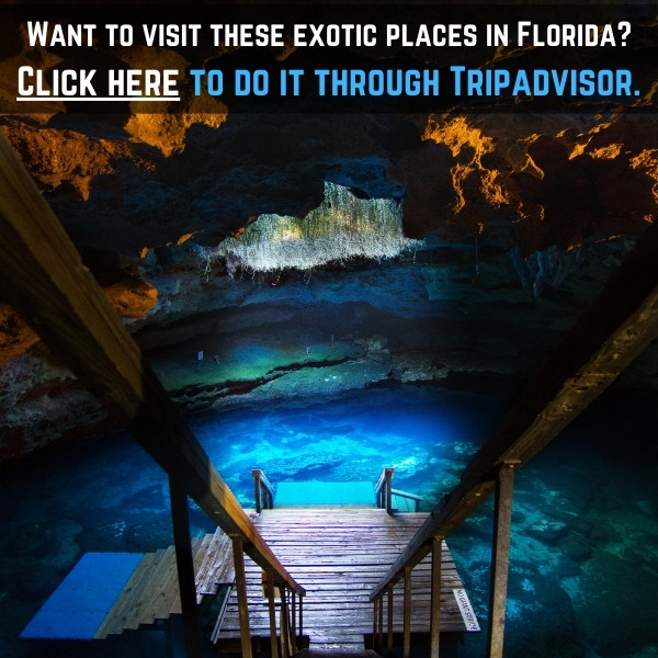 exotic places to see in florida trip planner 02