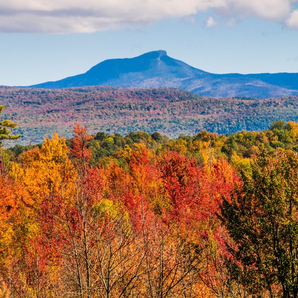 fall foliage new england camels hump state park vermont