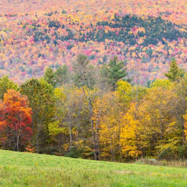 green mountain national forest vermont fall foliage new england