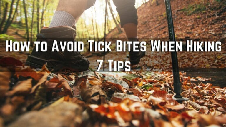 How to Avoid Tick Bites When Hiking – 7 Easy Strategies