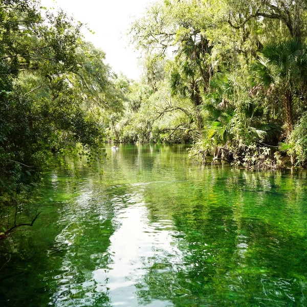 madison blue springs state park exotic places florida 03