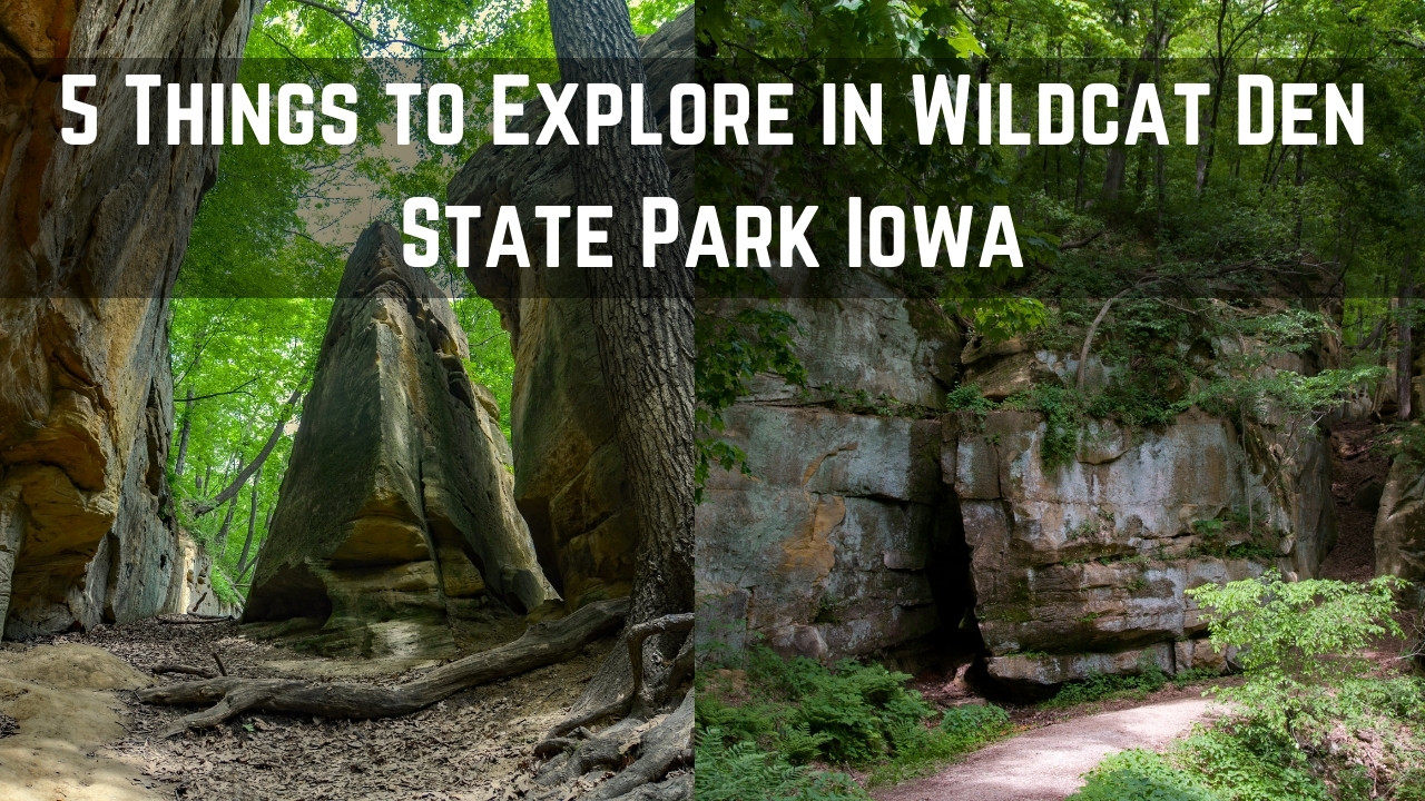 wildcat den state park 01