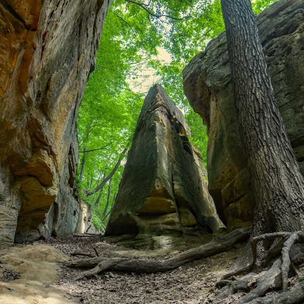 wildcat den state park hiking trail