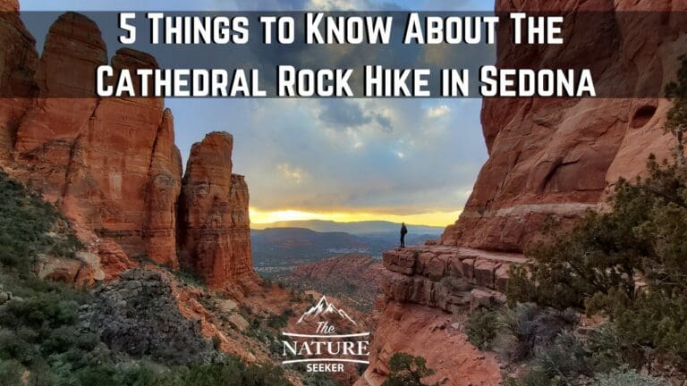 How to Hike The Cathedral Rock Trail in Sedona For Beginners
