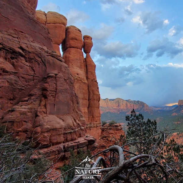 cathedral rock top of trail 03