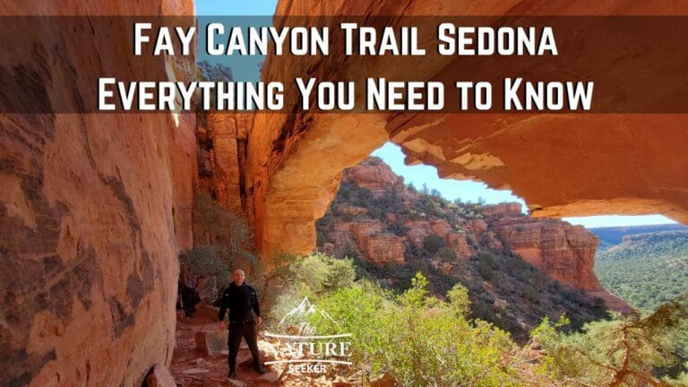 Fay Canyon Trail in Sedona – Why You Need to Hike Here