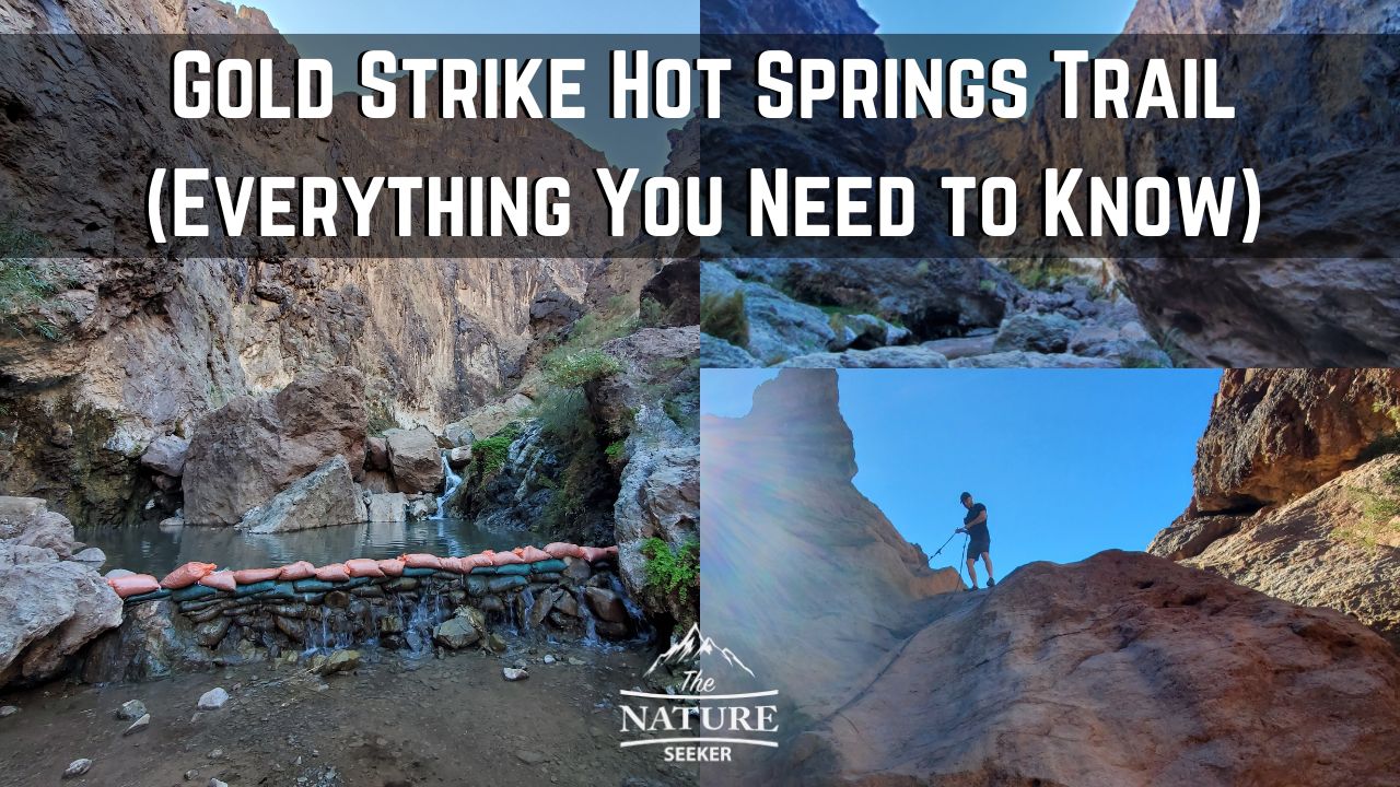 gold strike hot springs trail