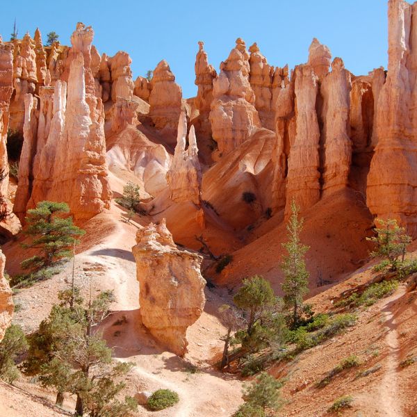 hikes close to willis creek