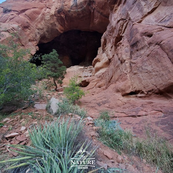 How to Find And Hike The Famous Keyhole Cave in Sedona