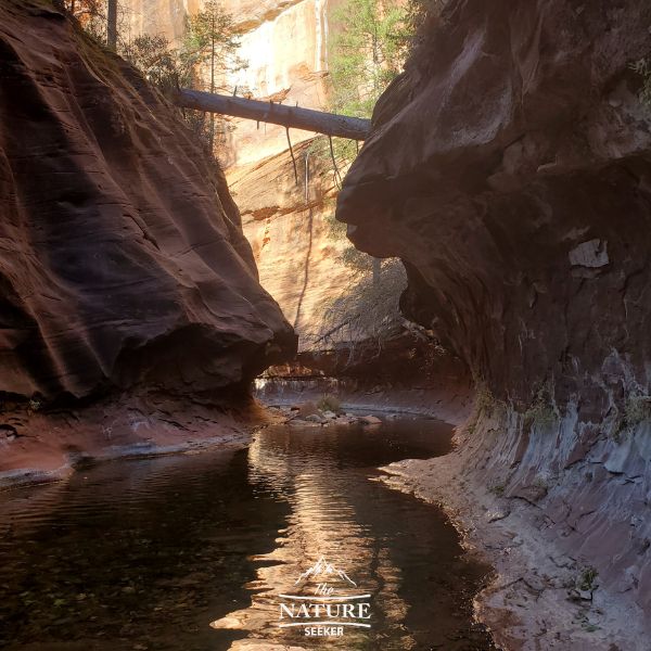 sedona west fork trail subway hike 07