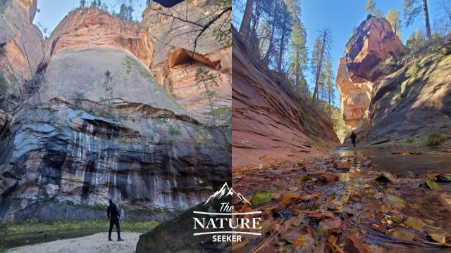 west fork trail camping best spots