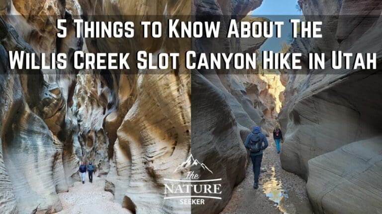 5 Things to Know About The Willis Creek Slot Canyon Hike