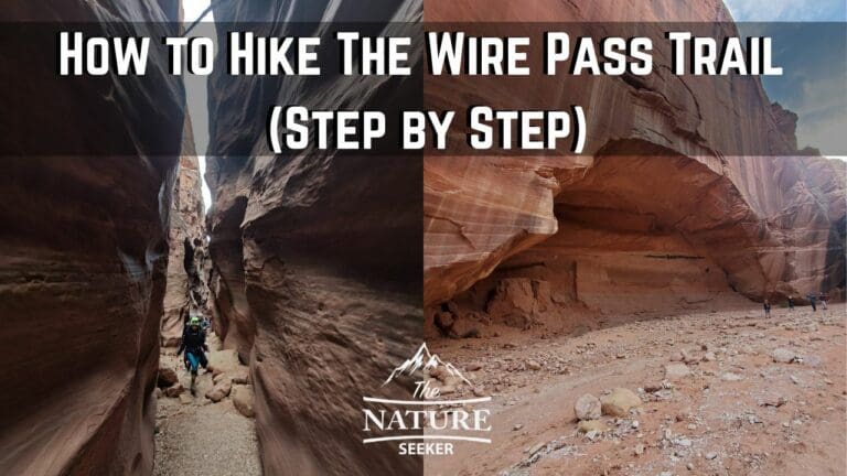How to Hike The Wire Pass Trail – Step by Step Guide