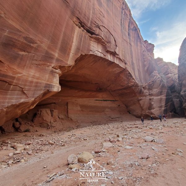 wire pass trail to buckskin gulch area 04