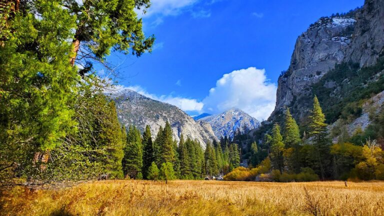 Kings Canyon National Park Guide