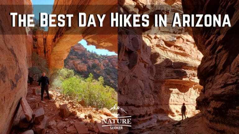 31 Best Hikes in Arizona You Need to Explore
