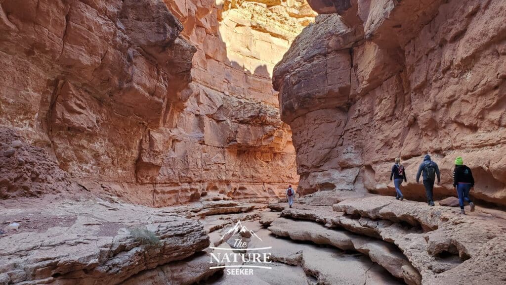 best day hikes in arizona catehdral wash trail 06