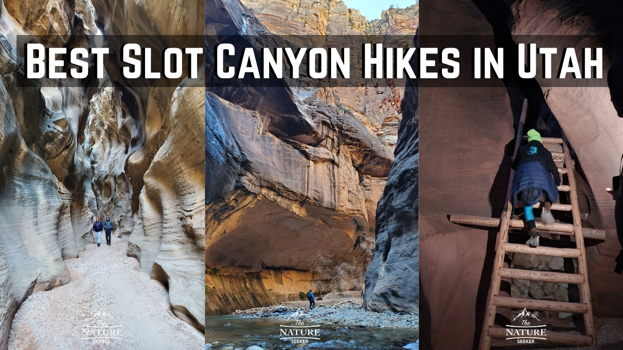 best utah slot canyon hikes