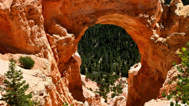 bryce natural bridge arch in utah 02