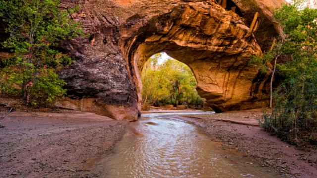 coyote natural bridge arch in utah 05