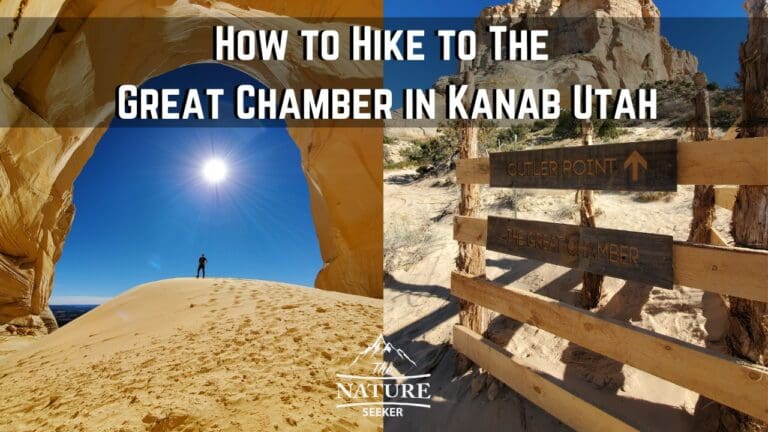 How to Hike to The Great Chamber in Utah (Cutler Point)