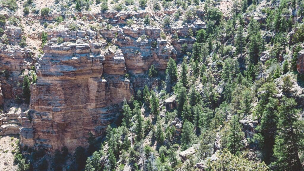 kaibab national forest best day hikes in arizona 02