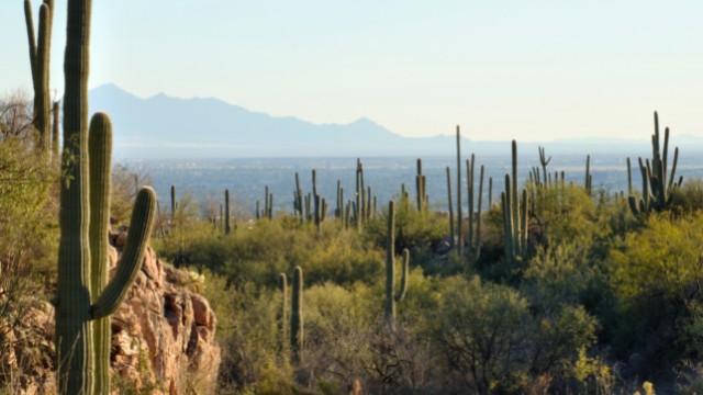 molino basin trail best day hikes in arizona 02