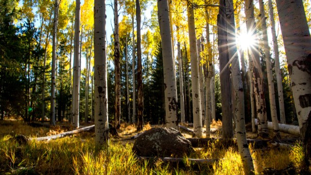 see canyon trail best day hikes in arizona 03