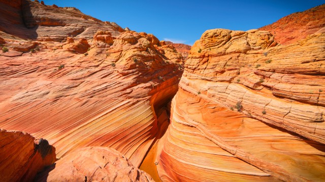 the wave trail best day hikes in arizona 02