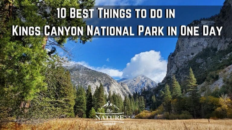 10 Best Things to do in Kings Canyon National Park in One Day