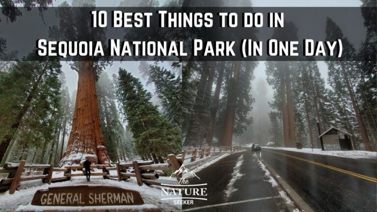 10 Best Things to do in Sequoia National Park in One Day