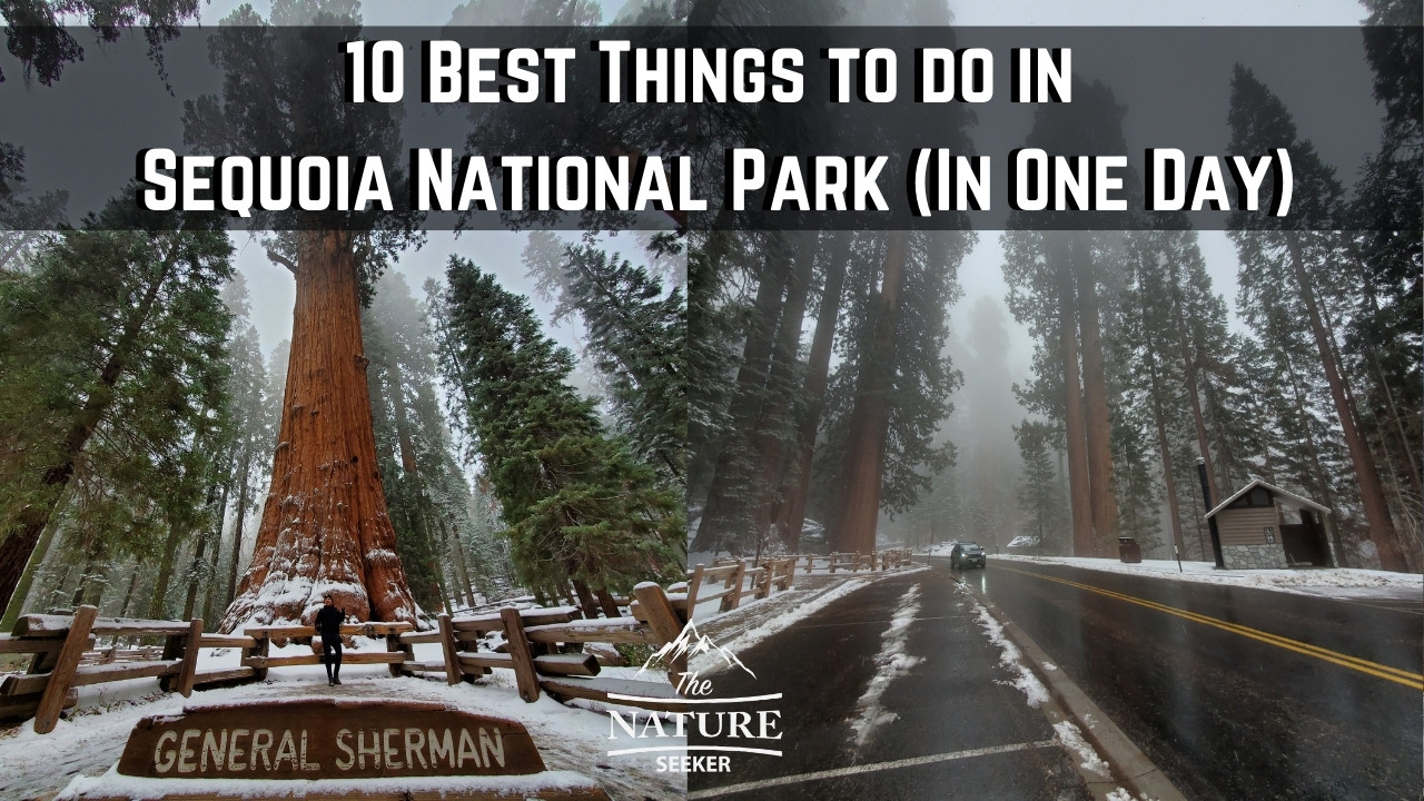 things to do in sequoia national park 01