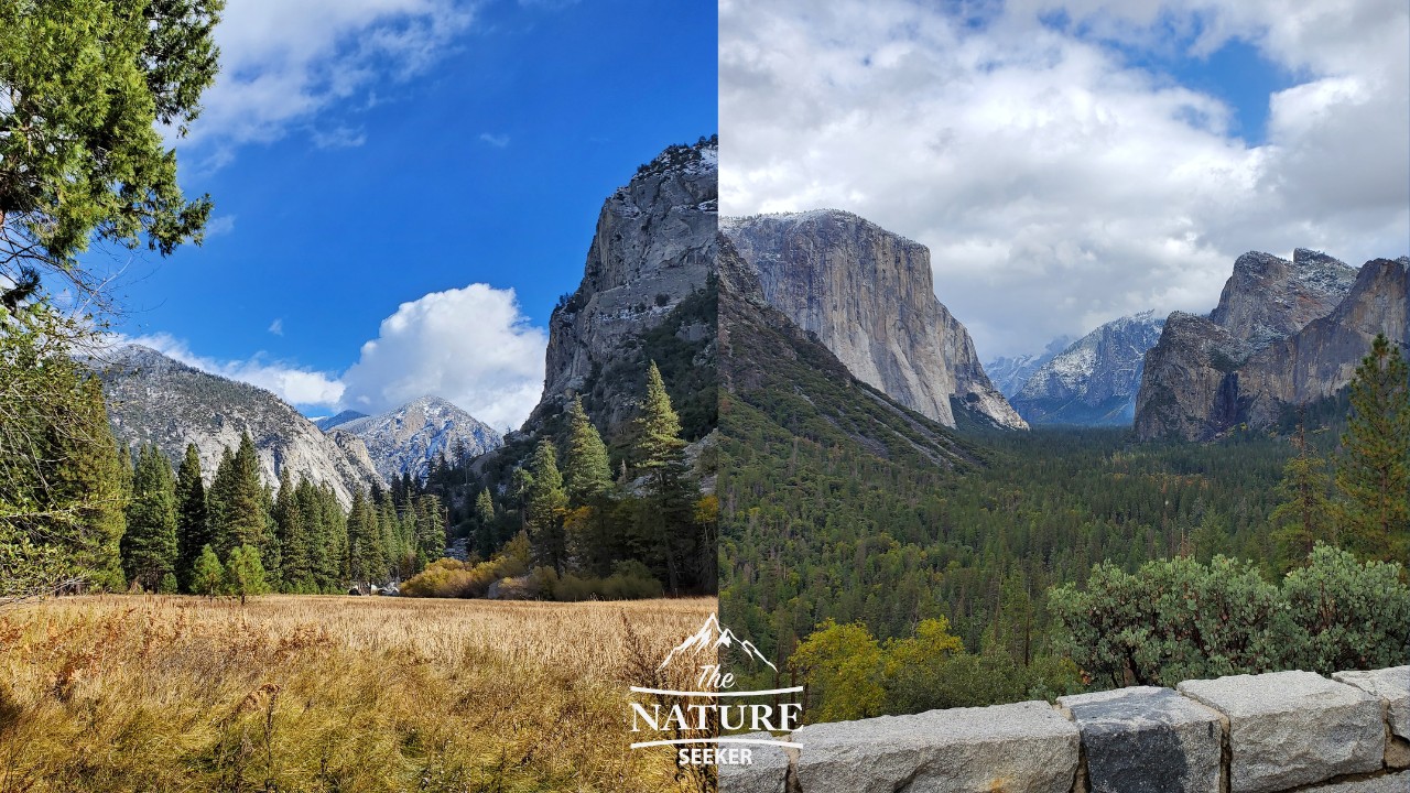 yosemite national park vs kings canyon