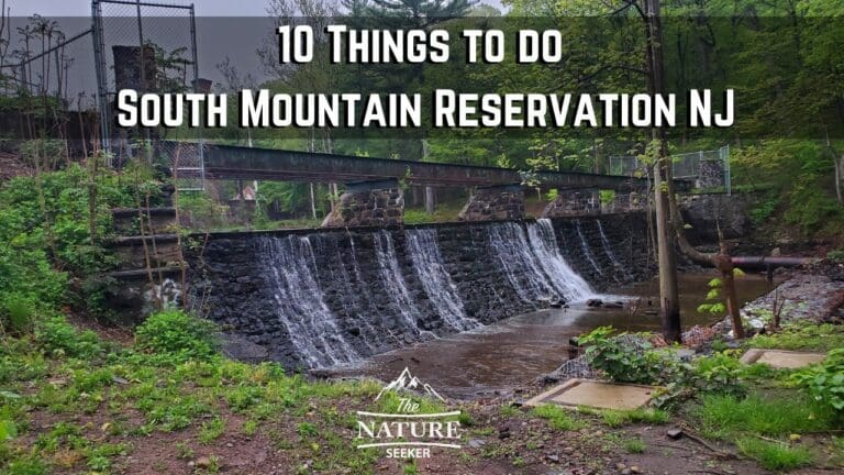 10 Things to do in South Mountain Reservation NJ