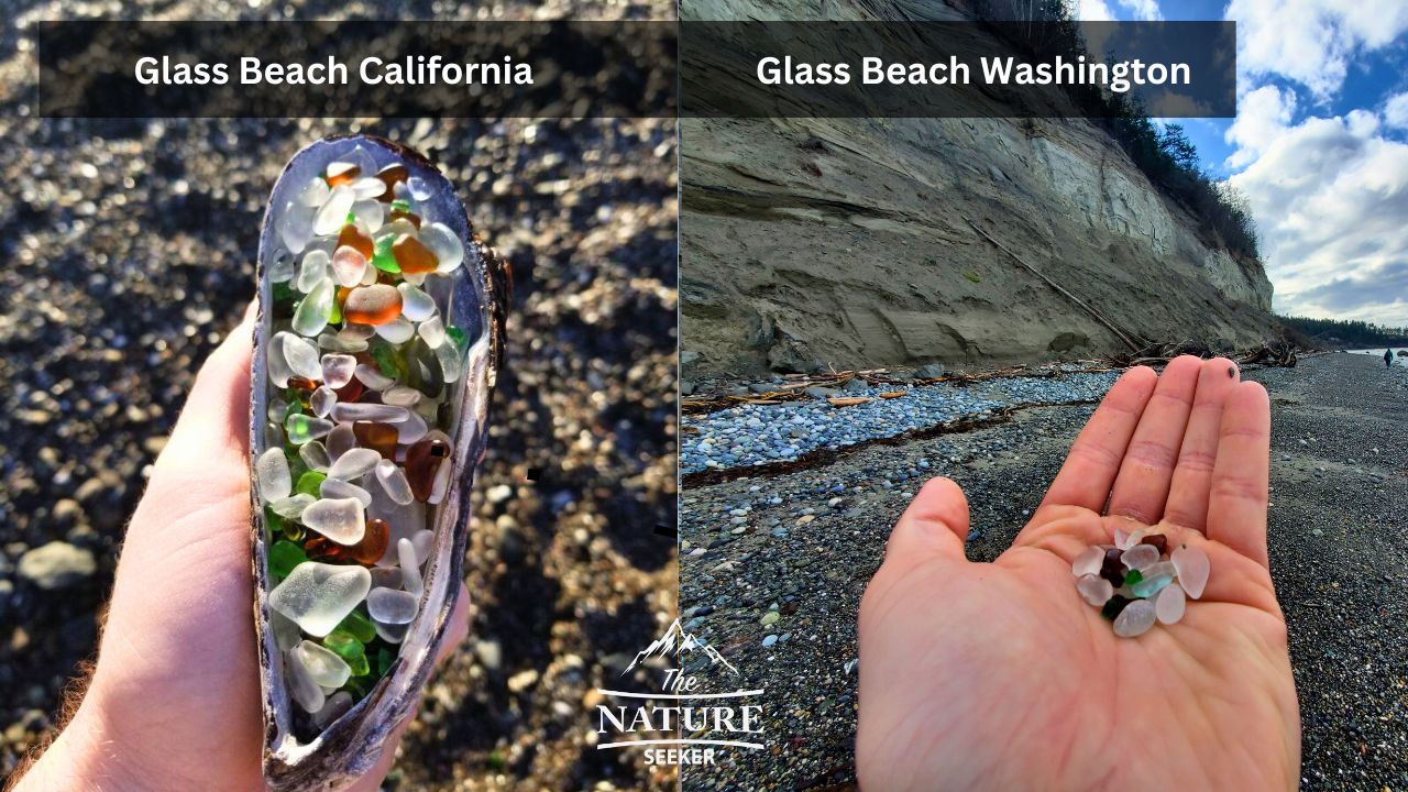 glass beach washington photo