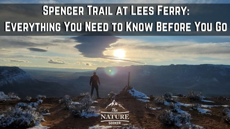 How to Properly Hike The Spencer Trail in Lees Ferry Arizona