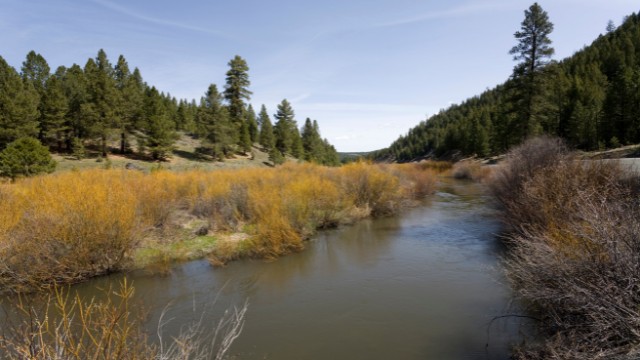 best things to do in eastern oregon malheur national forest 01