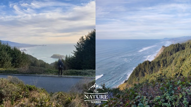 cape sebastian scenic corridor 02