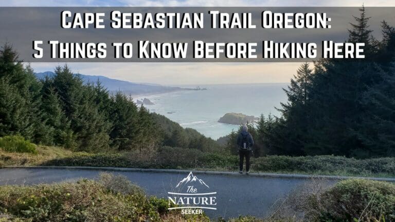 5 Things to Know About Hiking Cape Sebastian Trail in Oregon