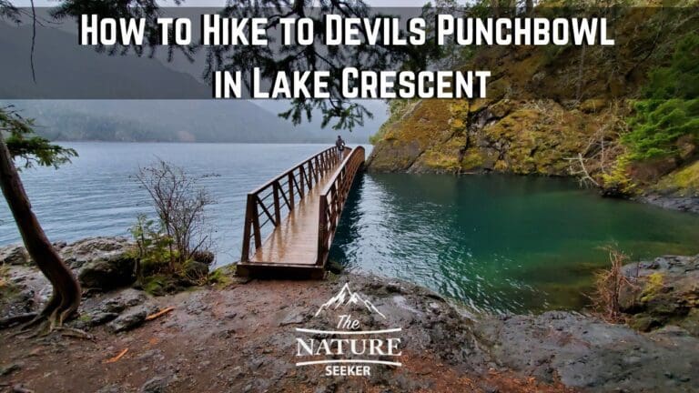 How to Hike to Devil’s Punchbowl in Lake Crescent