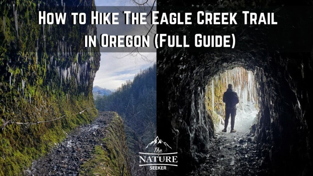 How to Hike The Eagle Creek Trail in Oregon (Full Guide)