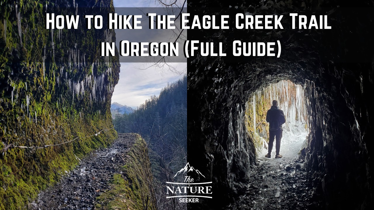 Eagle Creek Trail - All You Need to Know BEFORE You Go (with Photos)