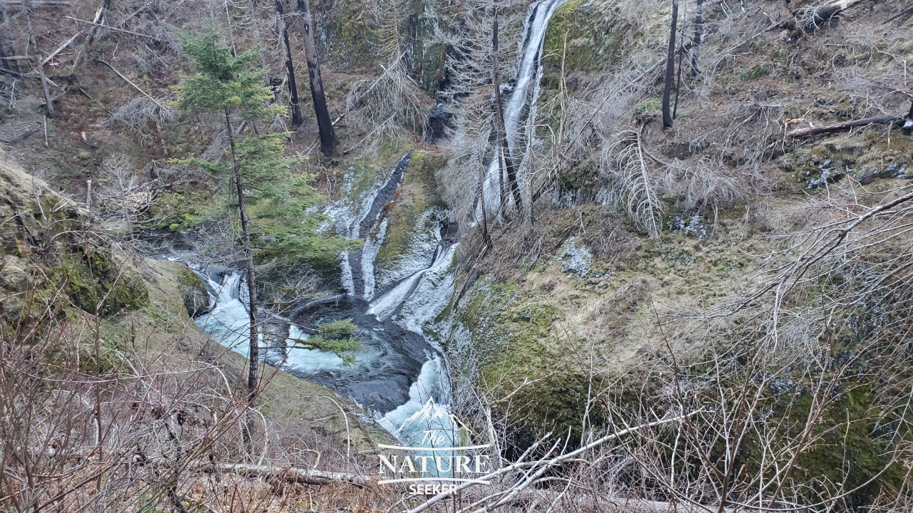 loowit falls eagle creek trail 05
