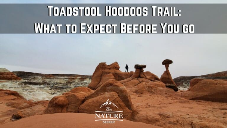 Toadstool Hoodoos Trail: What to Know Before Hiking Here