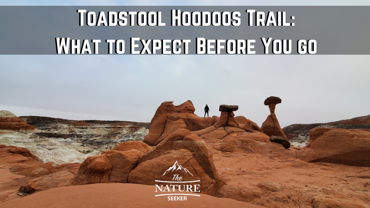 toadstool hoodoos trail new 01