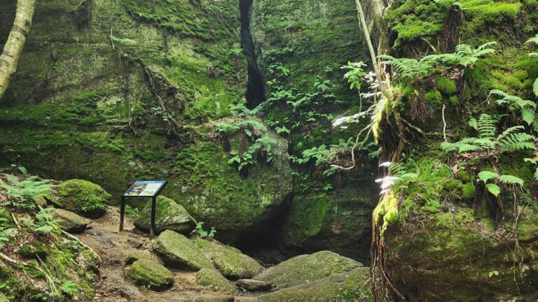 Nelson Ledges State Park Blue Trail